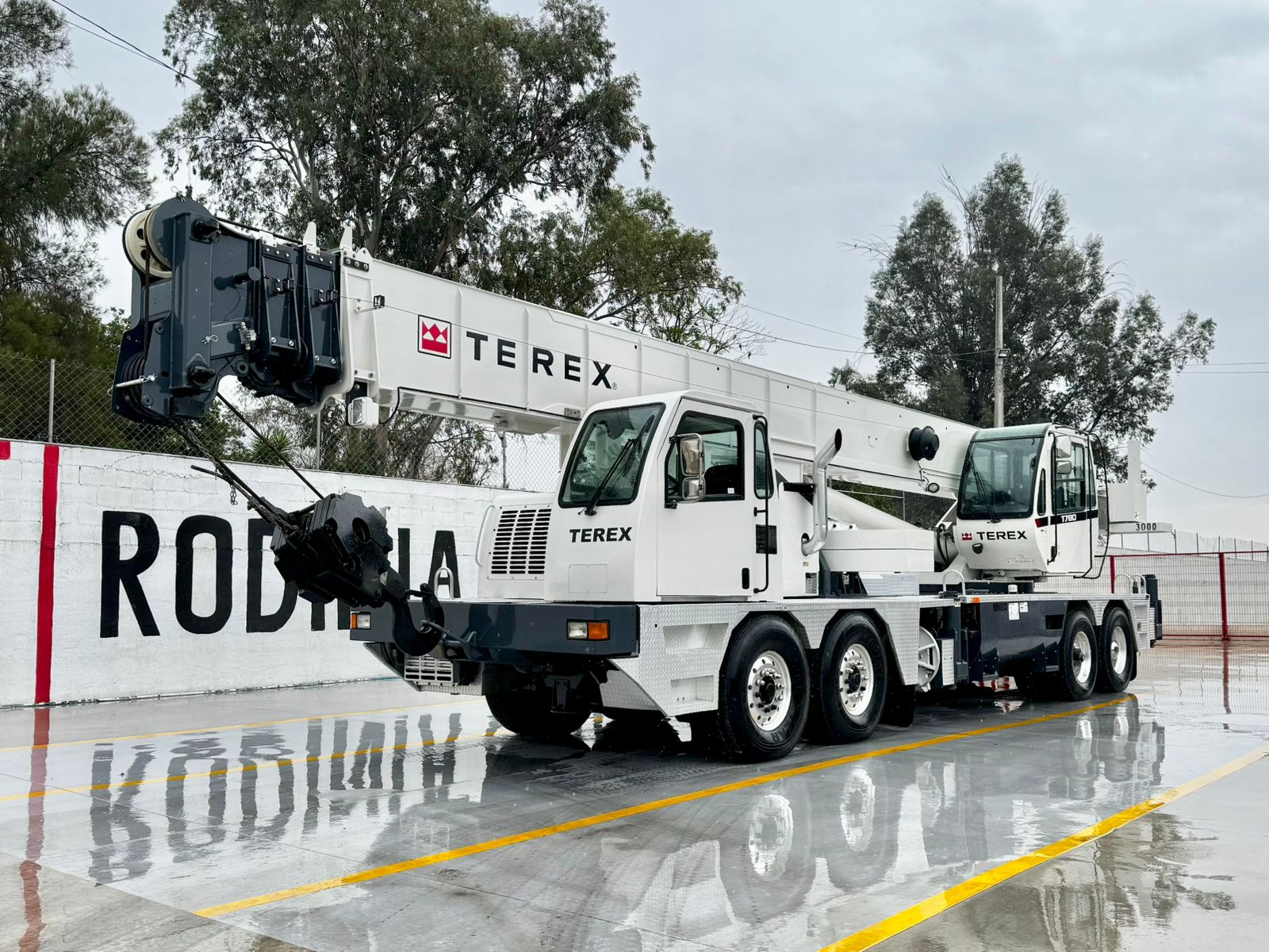 GRUA SOBRE CAMION TEREX T-780 DE 80 TON 2013 (5)